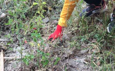 450 litros de basura recogidos en el río Francolí