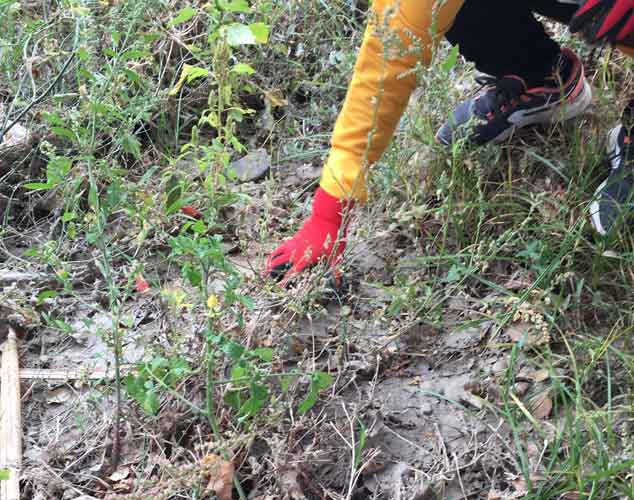 450 litros de basura recogidos en el río Francolí