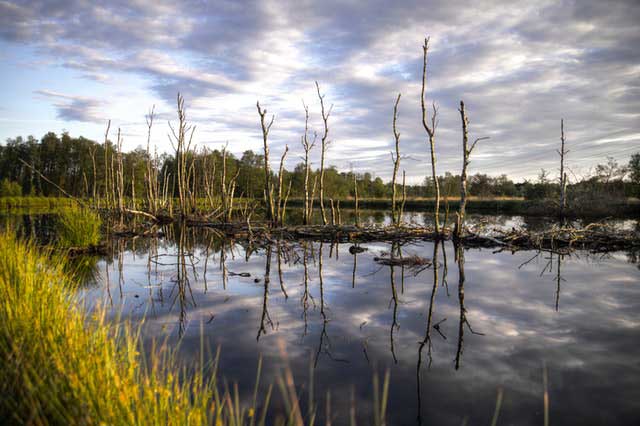 Los humedales, una de las claves para la supervivencia climática