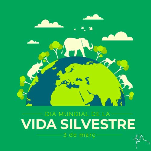 MareTerraFundacioMediterrania_Dia_Mundial_Natura