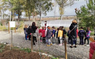 L’oli es pot reutilitzar, fem sabó a l’Escola de Natura