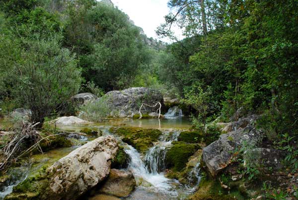 MareTerraFundacioMediterrania_naturaleza_Francoli