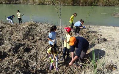 ANSE, la ONG verde de referencia del sureste, en los Premis Ones 2021