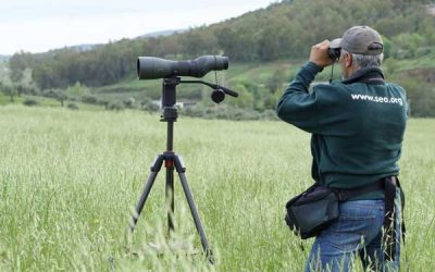 La ONG SEO/BirdLife galardonados en los Premis Ones 2021