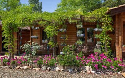 Descubre la Escola Natura Francolí, un espacio sostenible en un entorno urbano