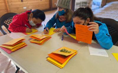 L’Escola de Natura al primer trimestre