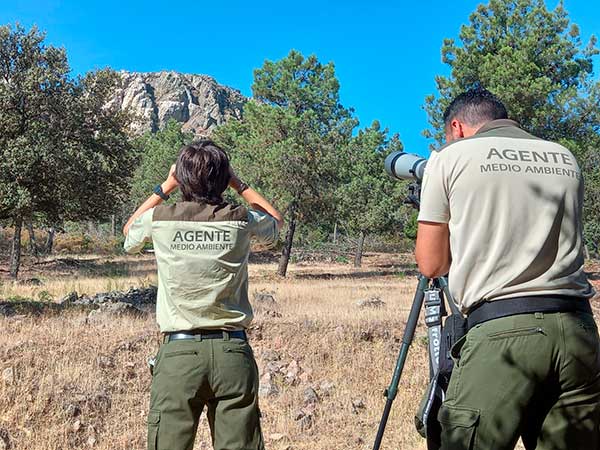 Agentes forestales y medioambientales - AEAFMA