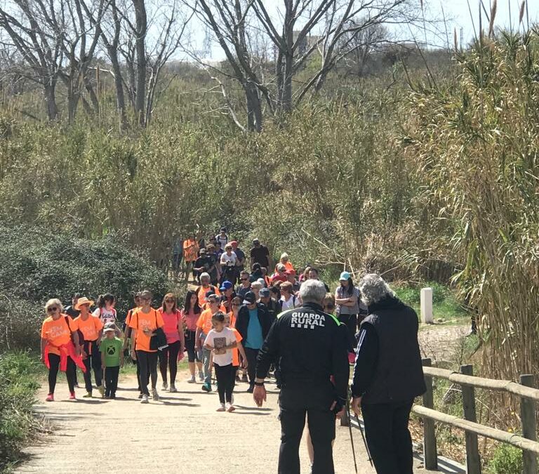 Más de 60 vecinos de Constantí descubren el Francolí con Mare Terra