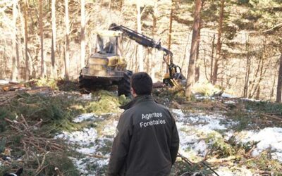 Los agentes forestales y medioambientales reciben el primer Premi Ones de la UICN