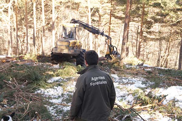 Los agentes forestales y medioambientales reciben el primer Premi Ones de la UICN