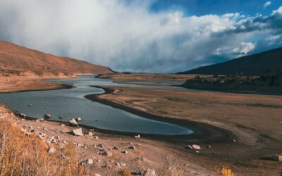 Semana mundial del agua: semillas del cambio